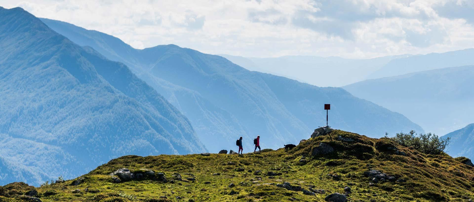 Turtøy til Norgesferien