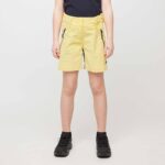 foldvik-shorts-2