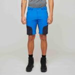 saksi-shorts-8