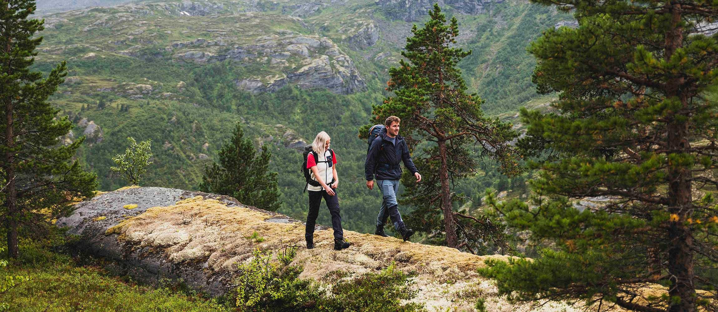 Skogstad Gol