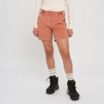 j-foldvik-turshorts